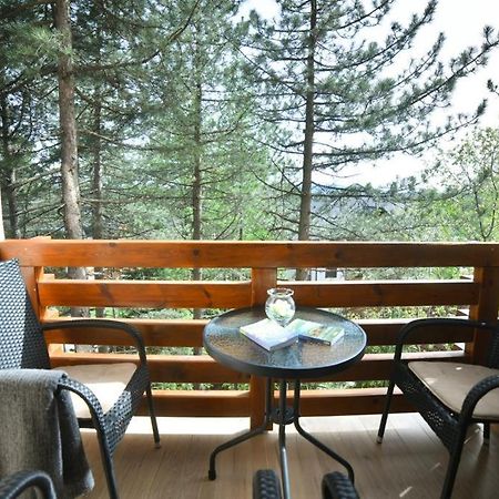 Apartman Silver Lux Zlatibor Exteriér fotografie